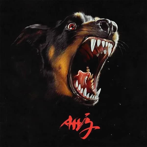 AHJ by Albert Hammond Jr.