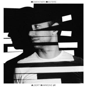 Momentary Masters by Albert Hammond Jr.